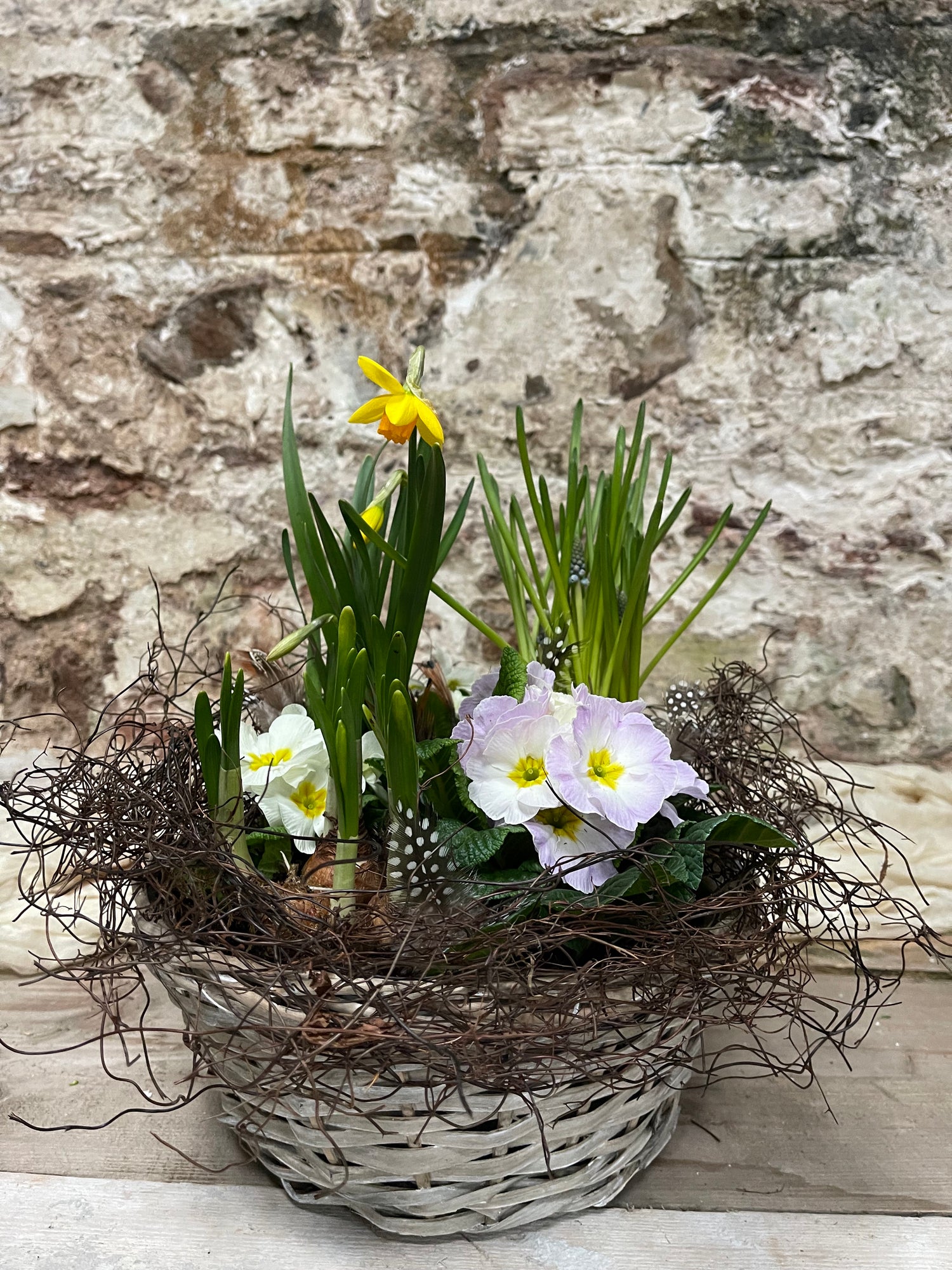 Local Delivery of Spring Planted Gifts