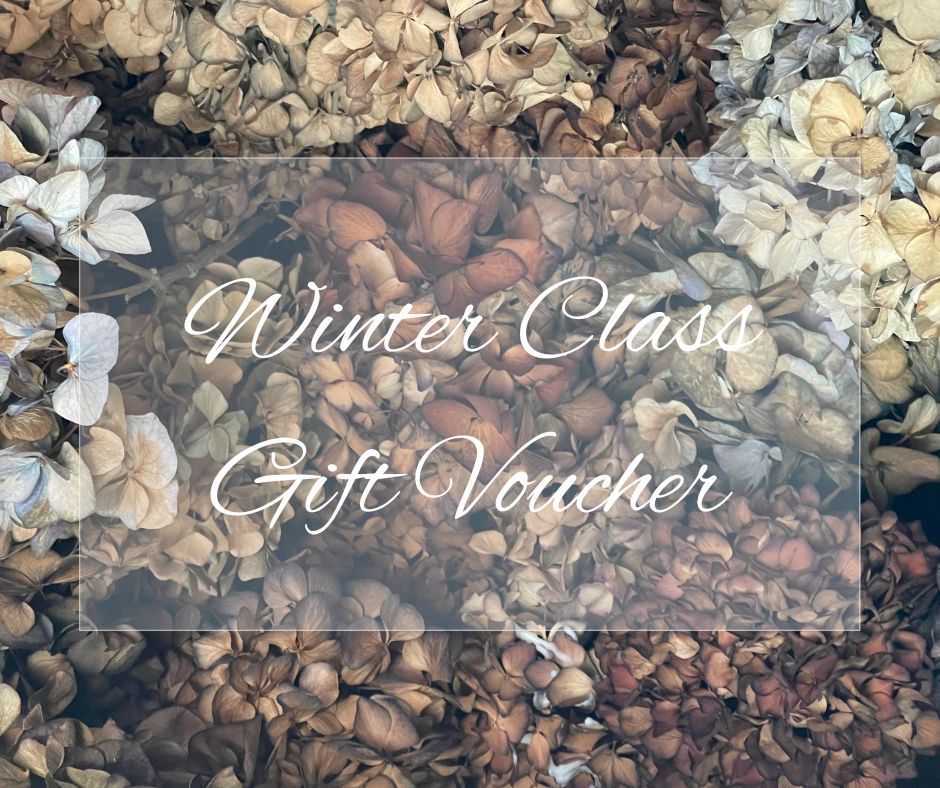 Winter Class Gift Voucher